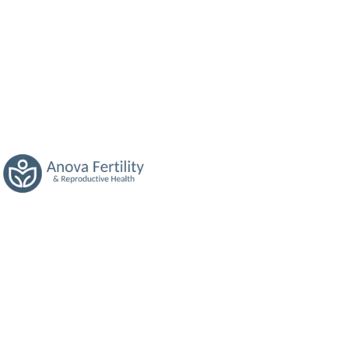 Interim Digital Revitalization
