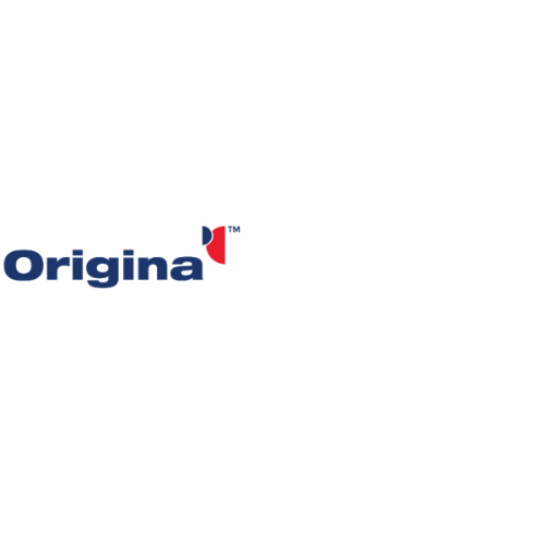 Transforming Origina’s Marketing Strategy