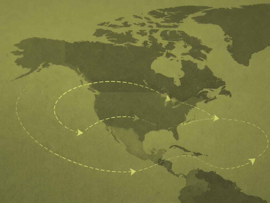 Map of North and South America showing directional paths from Latin America to the United States representing international expansion strategy